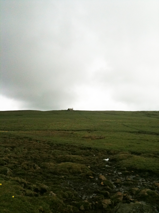 Aubrac